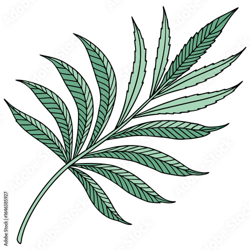 cannabis leaf vector illustration