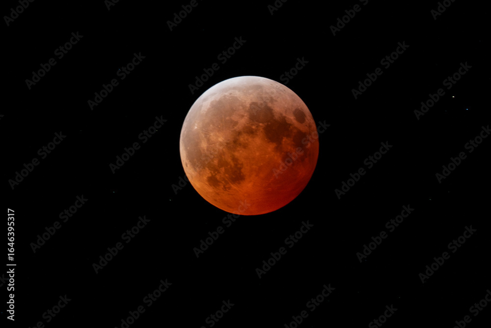 Fototapeta premium full moon over black