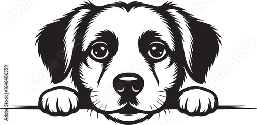 black and white dog peeking over ledge vector illustration with long fur and cute paws playful pet line art drawing icon