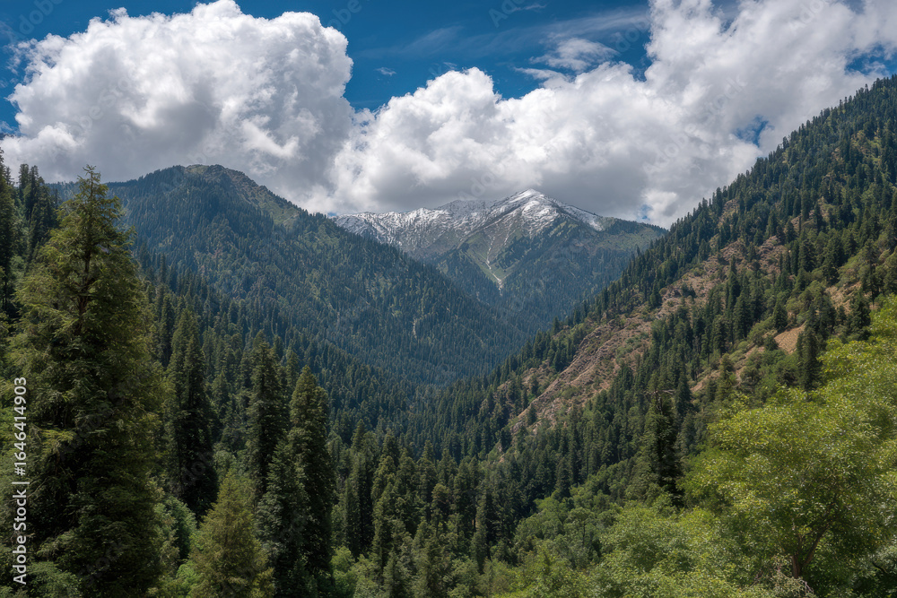 Fototapeta premium witness majestic beauty of world top mountains where dense forests cling to slopes