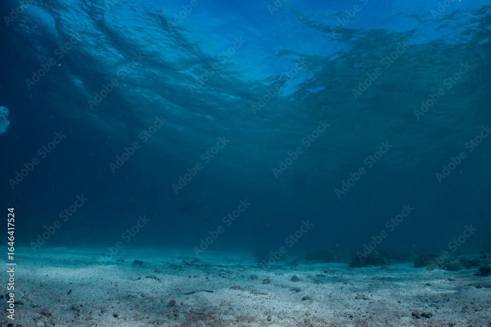 Fototapeta premium Underwater view of turquoise water and sandy seabed.