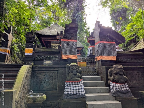 the monkey forest in bali island, Indonesia
