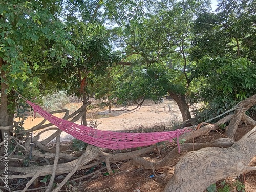 hammock on the beach