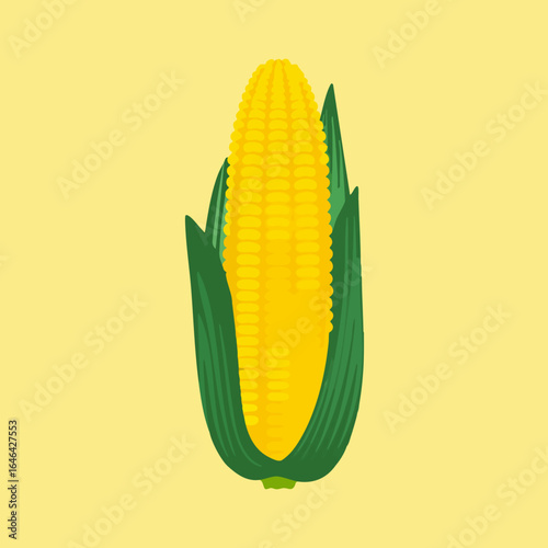 Vector Illustration of an Ear of Corn