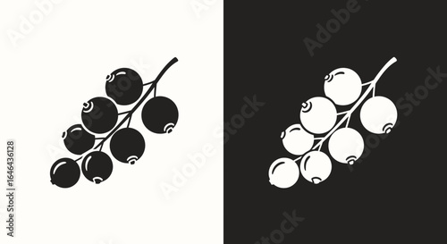 Black and White Illustration of a Currant Branch.