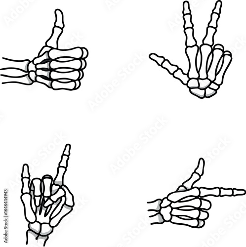 Skeletal hand gestures vector illustration with four different bone sign positions natural flow 