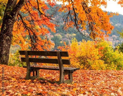 Autumnal park bench