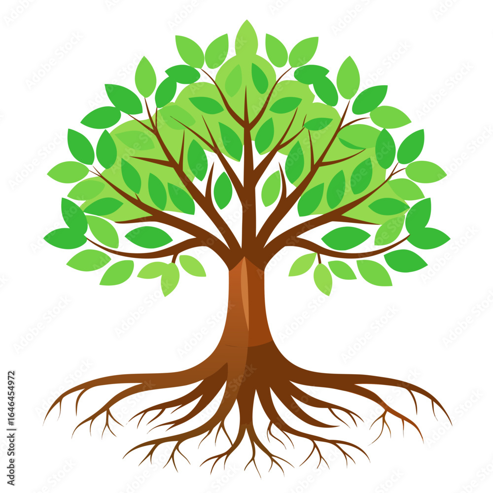 Fototapeta premium tree with green leaves