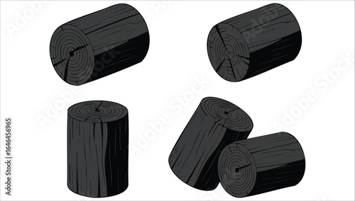 black charcoal pieces collection vector art isolated white