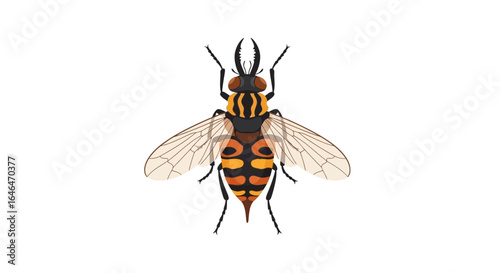 Vector illustration of a fascinating wasp with a distinct color pattern