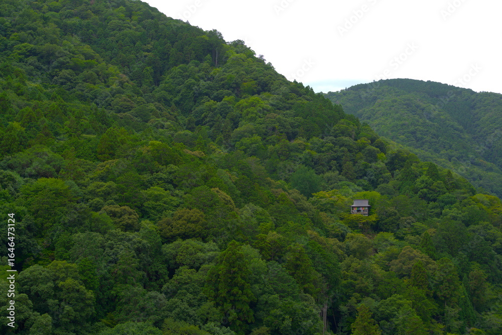 Obraz premium Kyoto,Japan