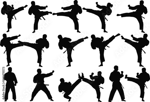 Dynamic silhouettes of martial artists performing various karate kicking techniques and poses in a grid layout