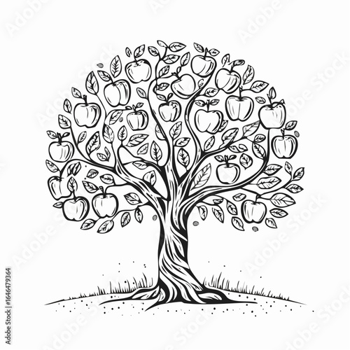 Exquisite apple tree vintage engraving sketch illustration with detailed botanical line art of branches, leaves, and fruit, perfect for orchard themes, gardening projects, vintage botanical prints