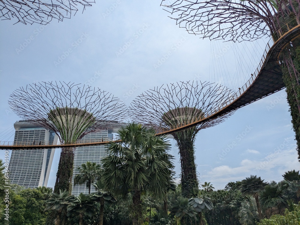 Fototapeta premium the famous Botanical Garden in Singpore