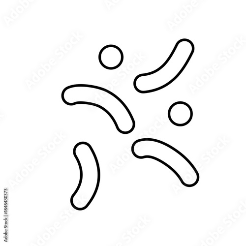 outline of lactobacillus bacterial microorganisms