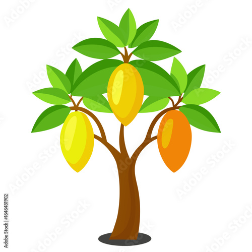 orange tree isolated on white