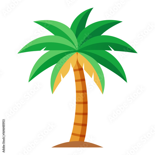 palm tree vector illustration