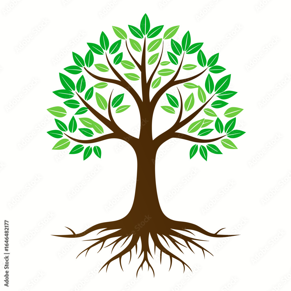 Fototapeta premium vector tree isolated on white background