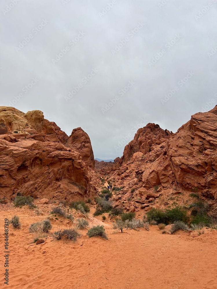 Fototapeta premium valley of fire 