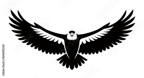 Majestic eagle in flight, rendered as a bold black and white vector silhouette with outstretched wings against a clean background.