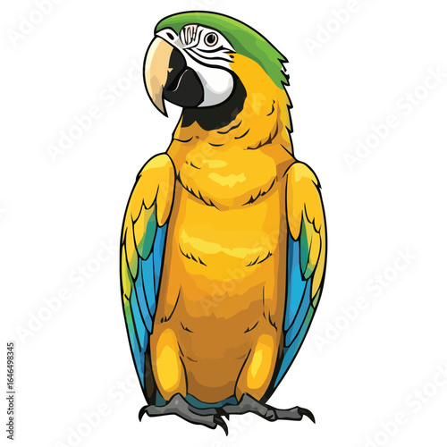 Vibrant Yellow-Blue Macaw Parrot Illustration