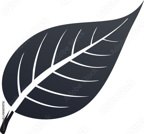 Dark grey gradient leaf silhouette nature plant