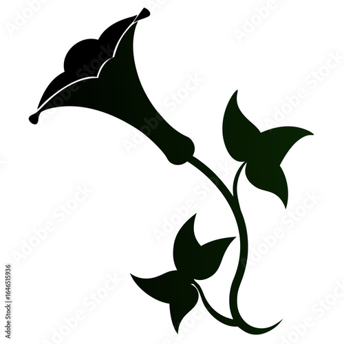 trumpet vine new guinea silhouette vector  on white