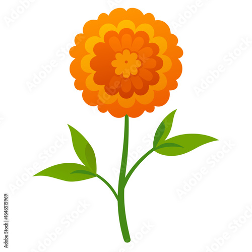 tagetes minuta flower line art vector on-white
