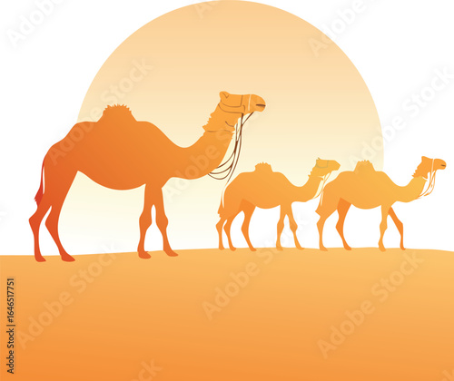 Three camels walking in the desert at sunset Keywords: camel, desert, caravan, sunset, sand