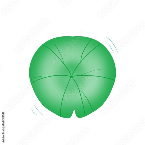 Green Lotus Leaf on White Background – Illustration
