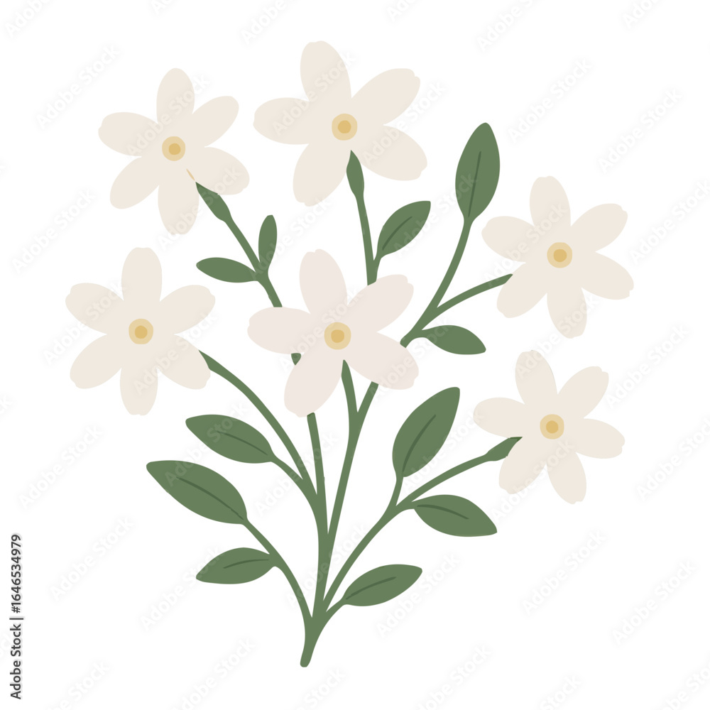 Obraz premium Jasmine Flowers Vector Illustration