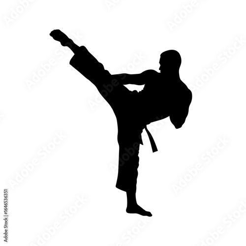 Silhouette of a martial arts expert executing a dynamic side kick, showcasing strength and precision in a minimalist, powerful pose against a white backdrop.