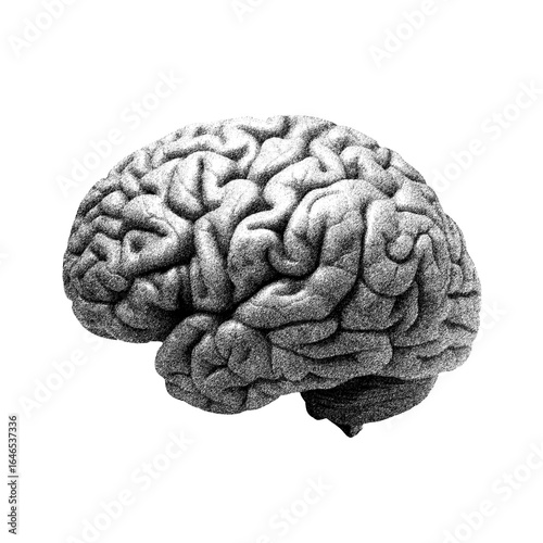 Vászonkép Halftone illustration of brain with transparent background