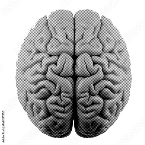 Halftone illustration of brain with transparent background 