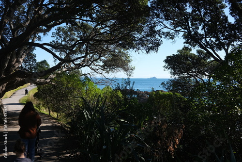 sunset over the river