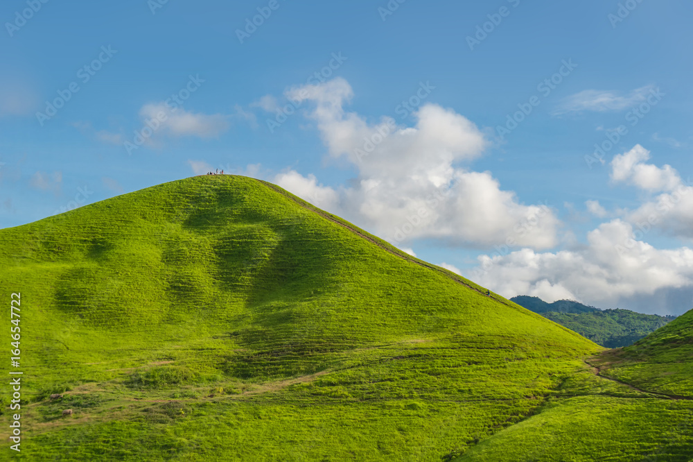 Obraz premium nature landscape