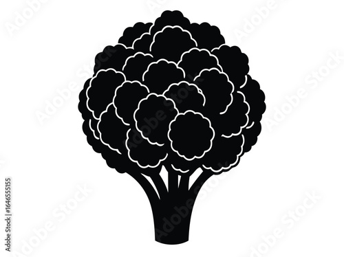 Detailed illustration of a romanesco broccoli vegetable in vector format