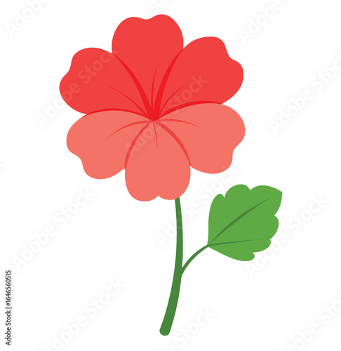 Vibrant perennial geranium flower illustration on a clean white background