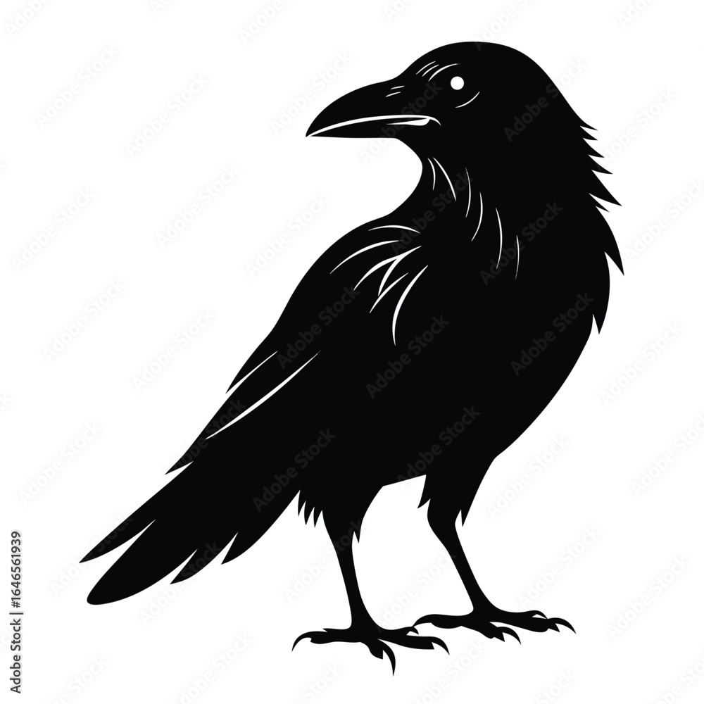 Fototapeta premium Stylized black silhouette of a raven perched on white