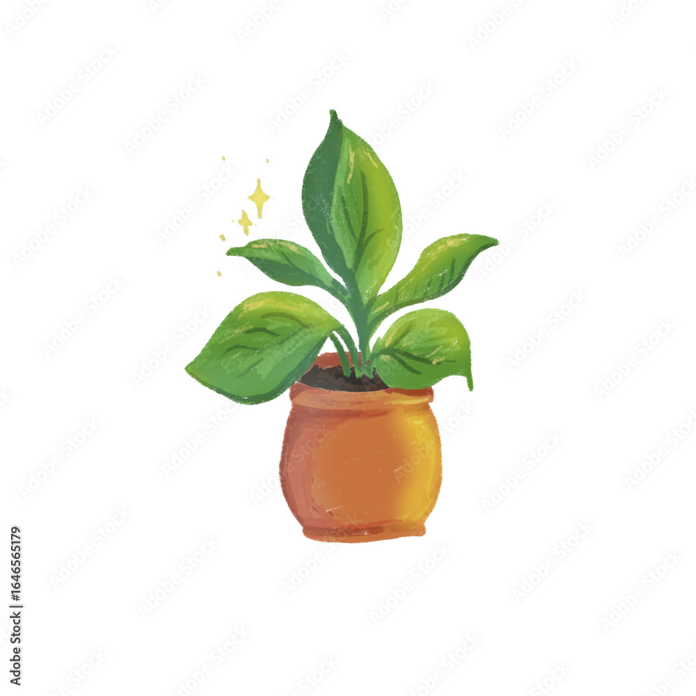 Fototapeta premium plant in a pot