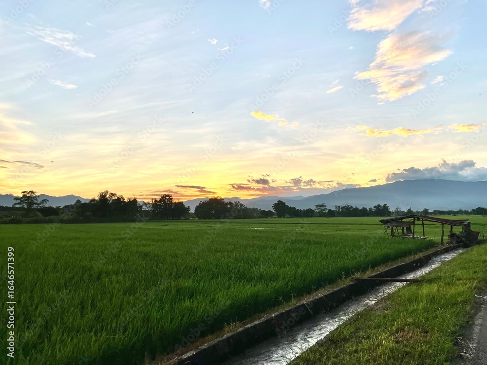 Obraz premium railway in the field