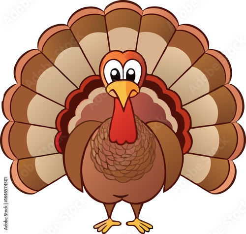 thanksgiving turkey, turkey bird clipart illustration