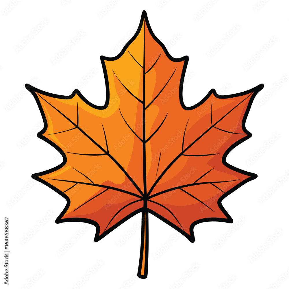 Obraz premium autumn maple leaf