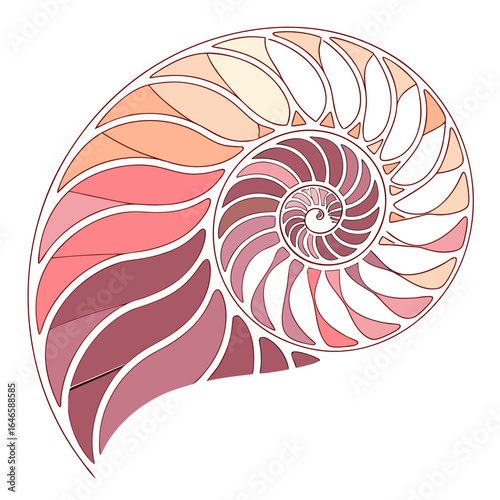Illustration of a nautilus shell with segments colored in shades of pink and peach on white background