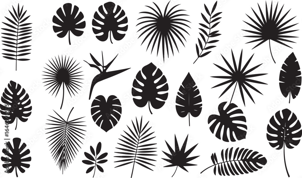 Leaf Silhouettes Collection - Elegant Black and White Tropical and Botanical Leaves Leaf Silhouettes Collection - Elegant Black and White Tropical and Botanical Leaves