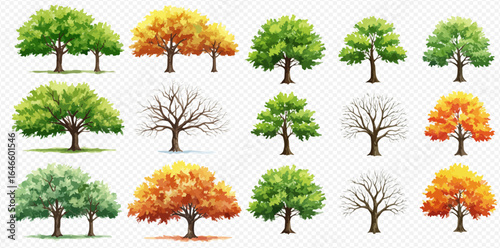 A collection of illustrated trees showcasing the four seasons, with green, yellow, and orange foliage, and bare winter branches.