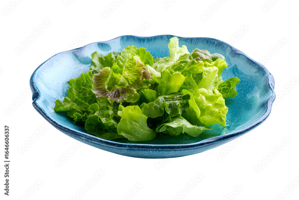 Fresh Green Lettuce Salad in Blue Bowl Fresh Green Lettuce Salad in Blue Bowl