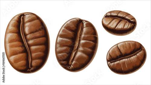 premium arabica coffee beans vector art isolated white