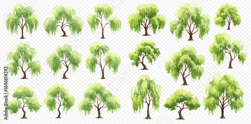 A collection of illustrated weeping willow trees with lush green foliage and drooping branches, shown in various shapes and sizes.