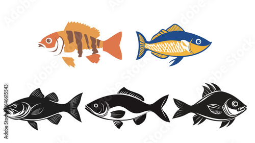 Bass fish vector graphic design, detailed illustration of freshwater game fish with fins and scales, perfect for fishing logos, outdoor sports graphics, wildlife illustrations